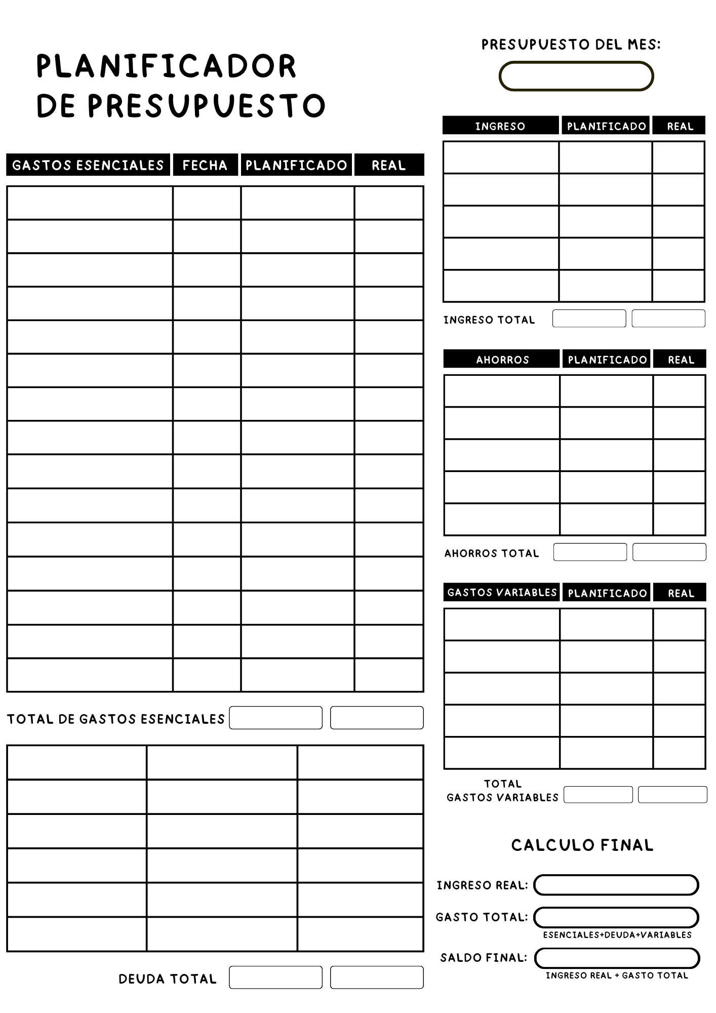 Editable Budget planner template